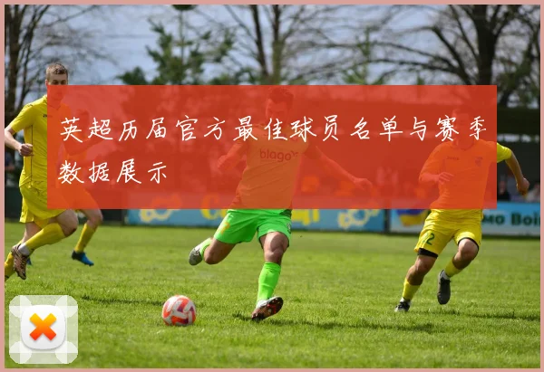 英超历届官方最佳球员名单与赛季数据展示