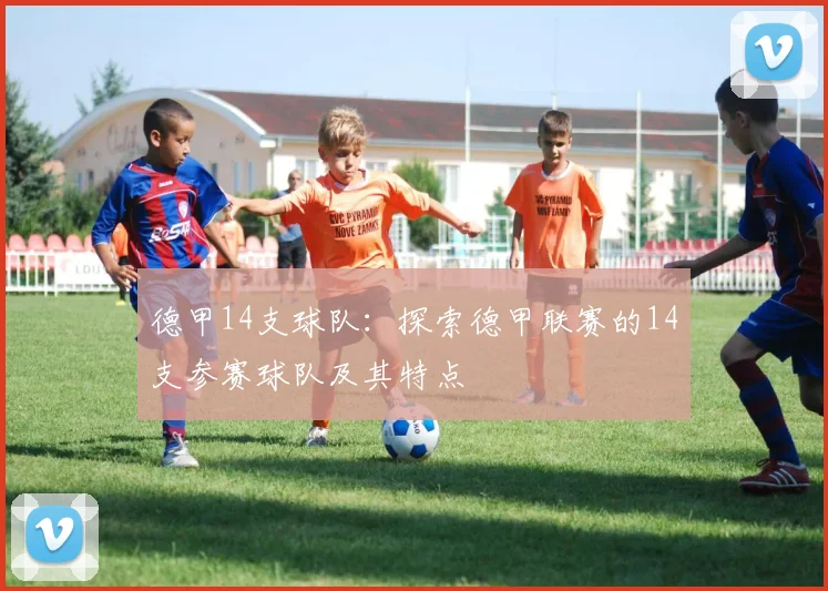 德甲14支球队：探索德甲联赛的14支参赛球队及其特点