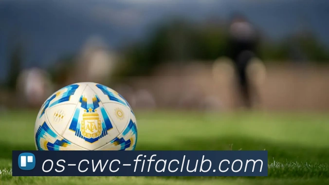 世界杯买球平台生态图